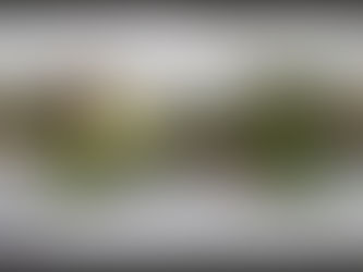 Accessori: il papillon camouflage