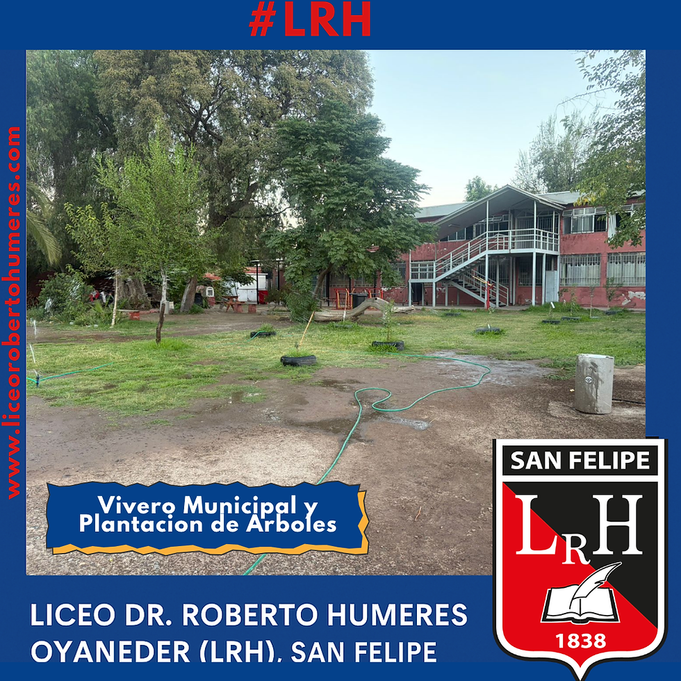 🌳💚 LRH continúa hermoseando sus espacios con árboles nativos