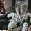 Thumbnail: Lace Sparkling White Wine