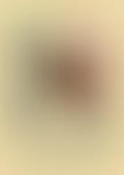 I will walk 500 miles and I will walk 500 more!!