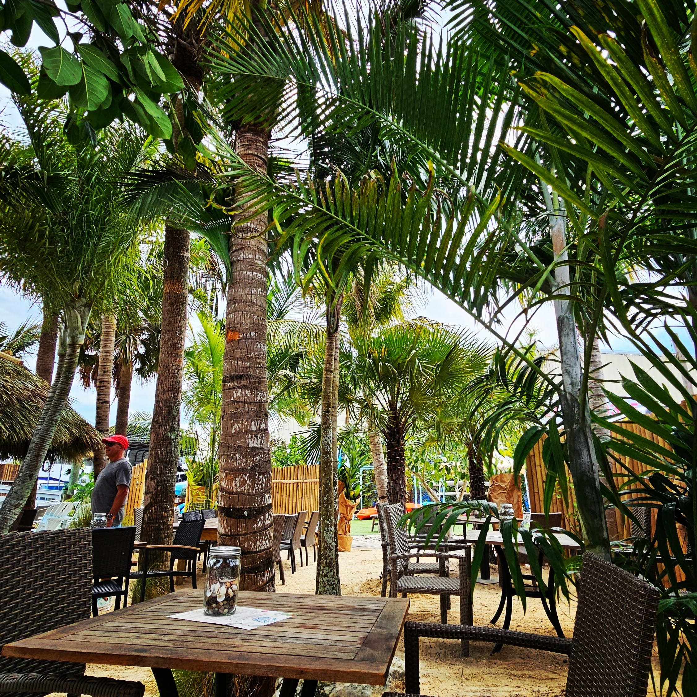 Lush tropical garden atmosphere at Patrona Coastal Café waterfront, St. Pete FL