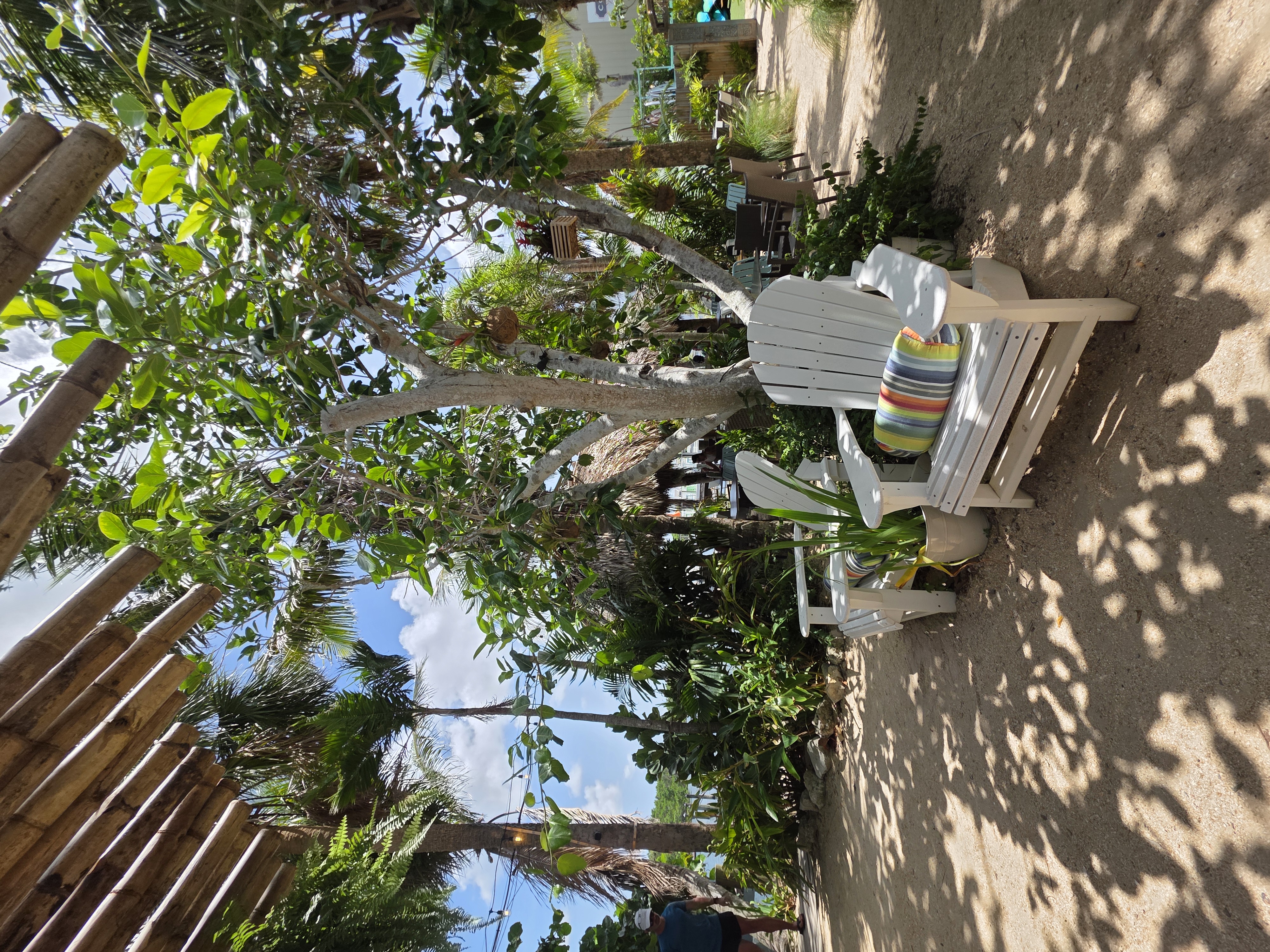 Patrona Coastal Café waterfront patio with tropical palm trees overlooking Tampa Bay, St. Petersburg Florida