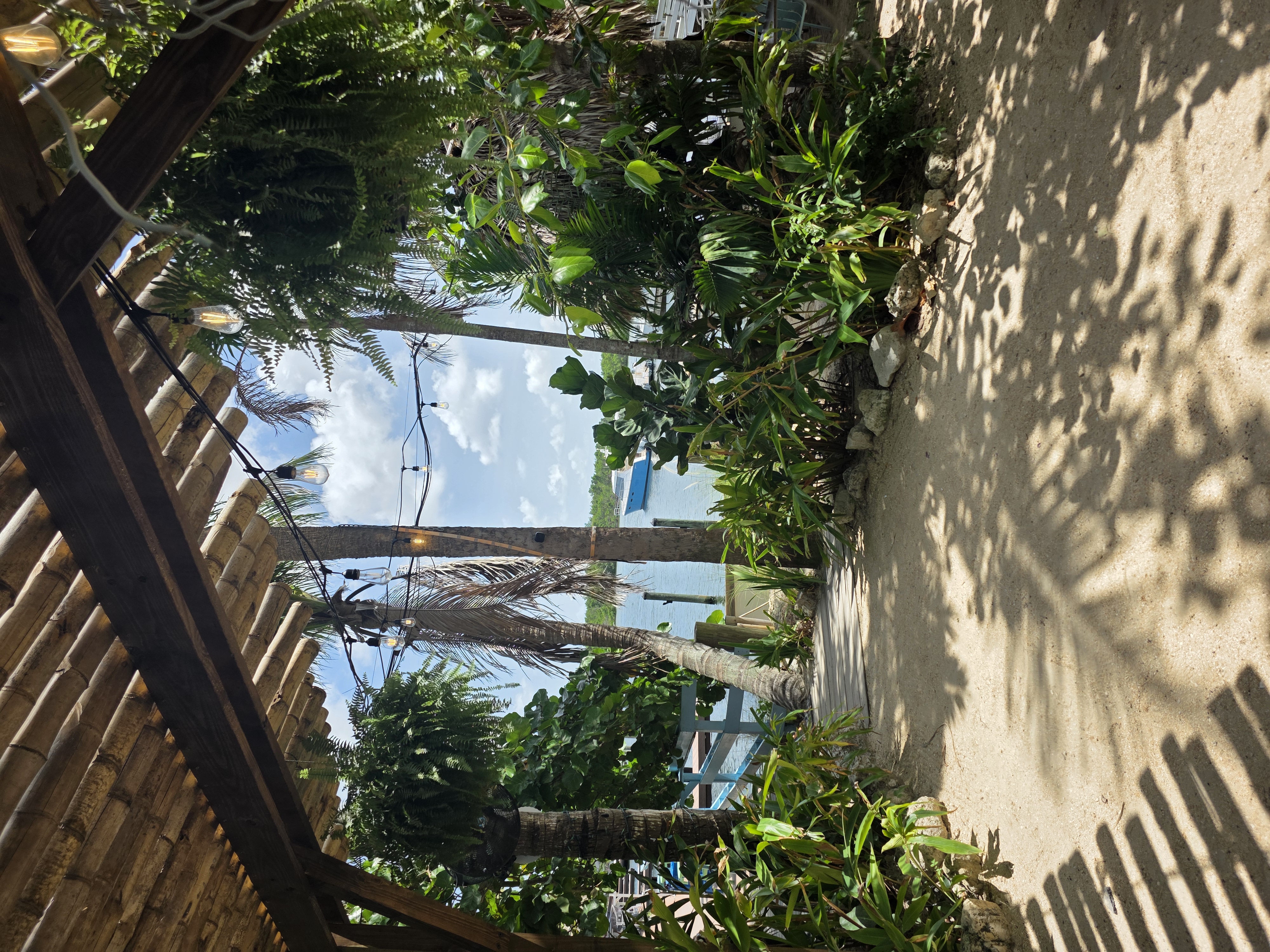 Shaded outdoor patio seating under tropical palms at Patrona Coastal Café, St. Petersburg FL