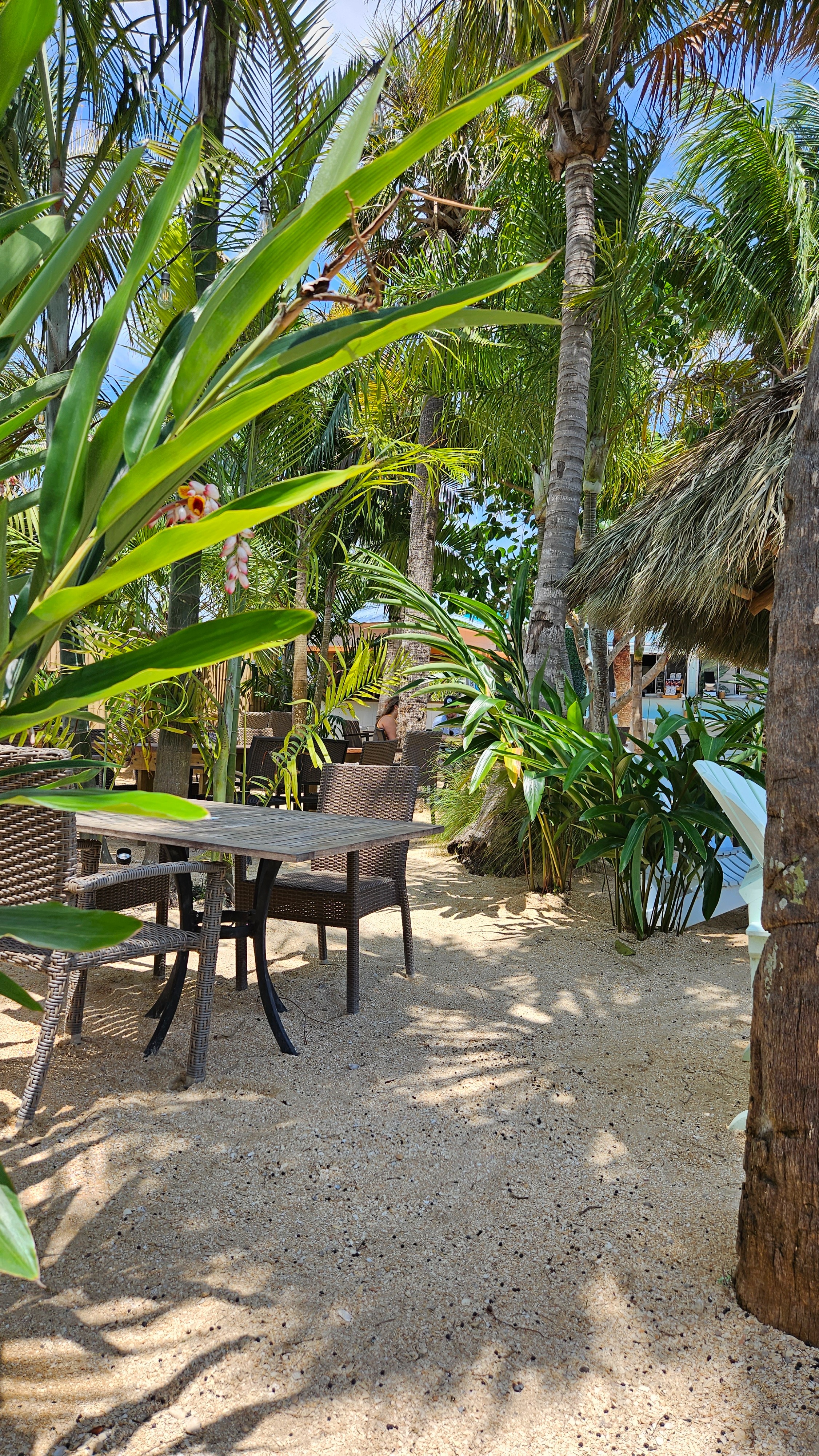 Delicious breakfast food and specialty coffee drinks at Patrona Coastal Café