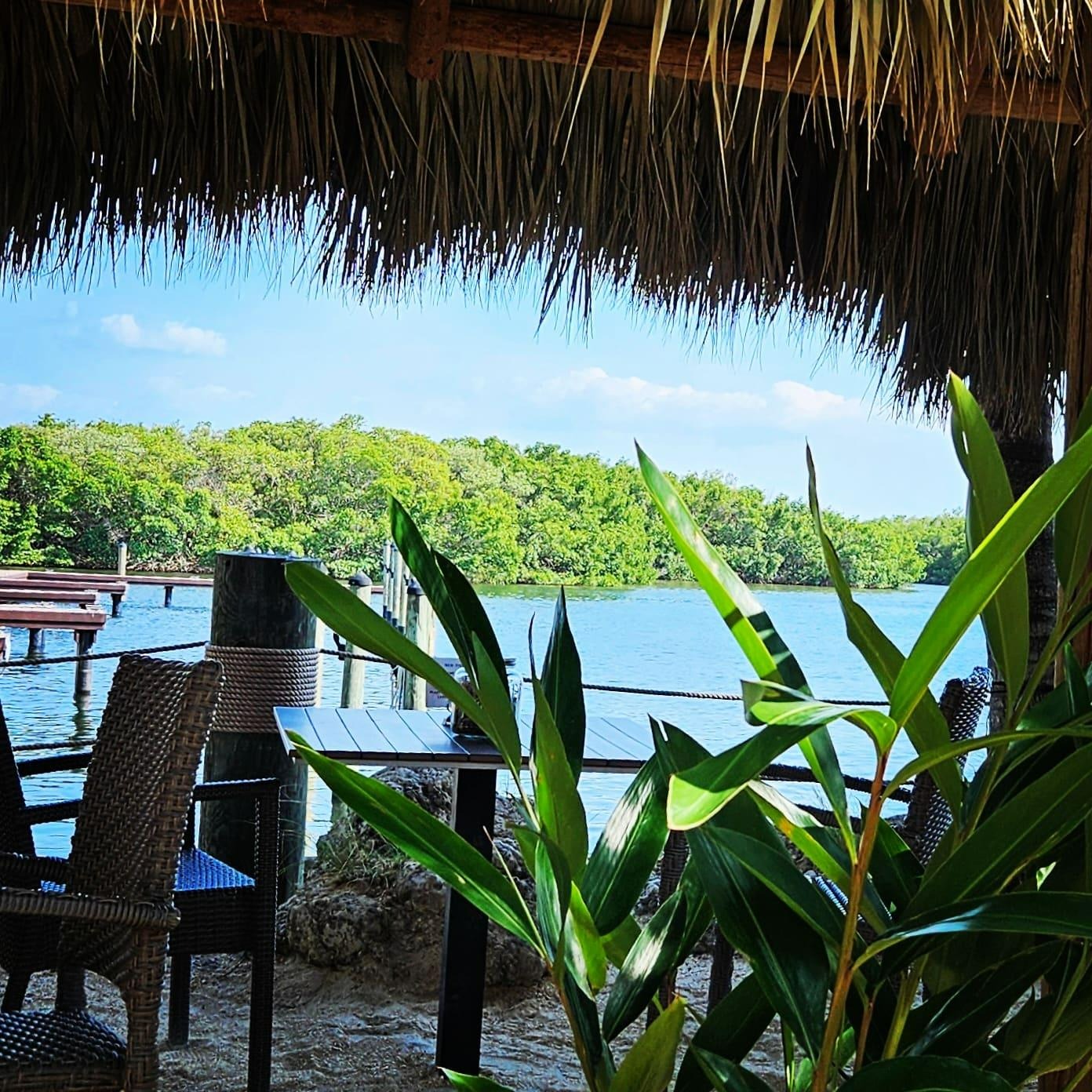 Exotic tropical trees and palms surrounding the outdoor seating area at Patrona Coastal Café