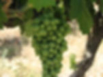 image--007.jpg