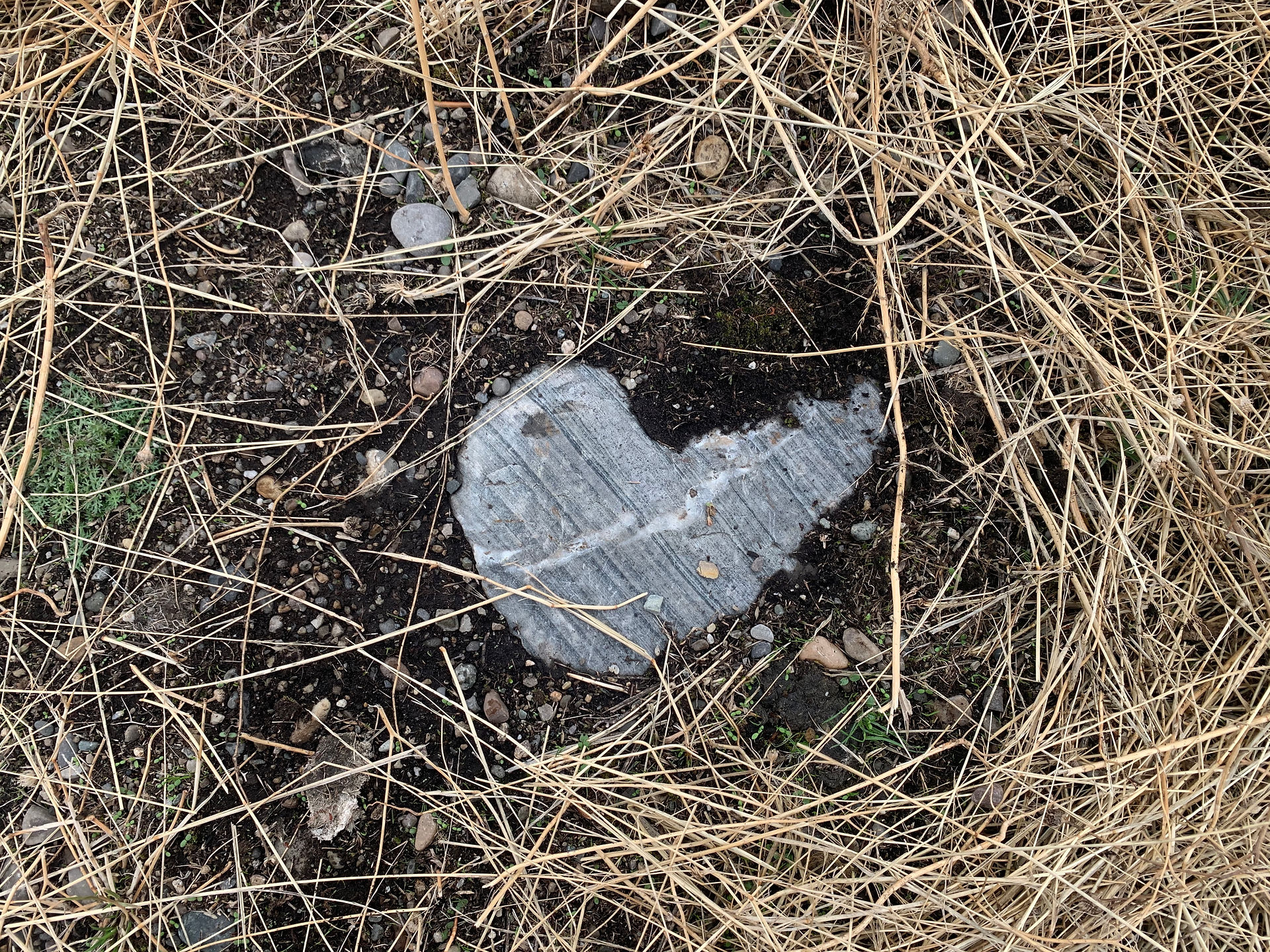 A text to my daughter from one of my trail runs.