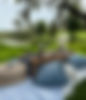 IMG_9384.jpeg