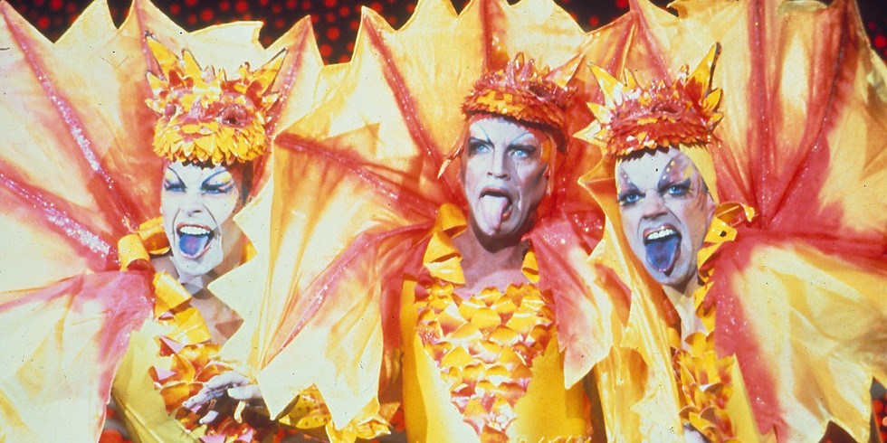 Academy Film Night: The Adventures of Priscilla, Queen of the Desert