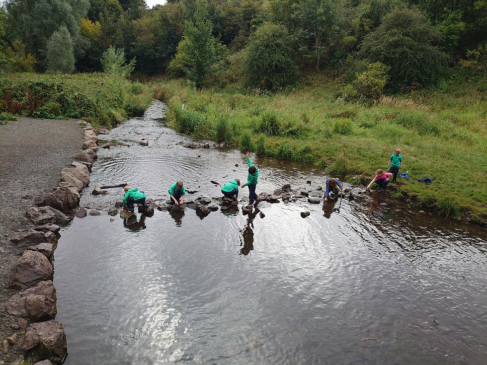 Muddy Mountains Forest School - Edinburgh (Scotland)