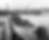 Garbage punt moored in Blackwattle Bay, Pyrmont. Photo: City of Sydney Archives