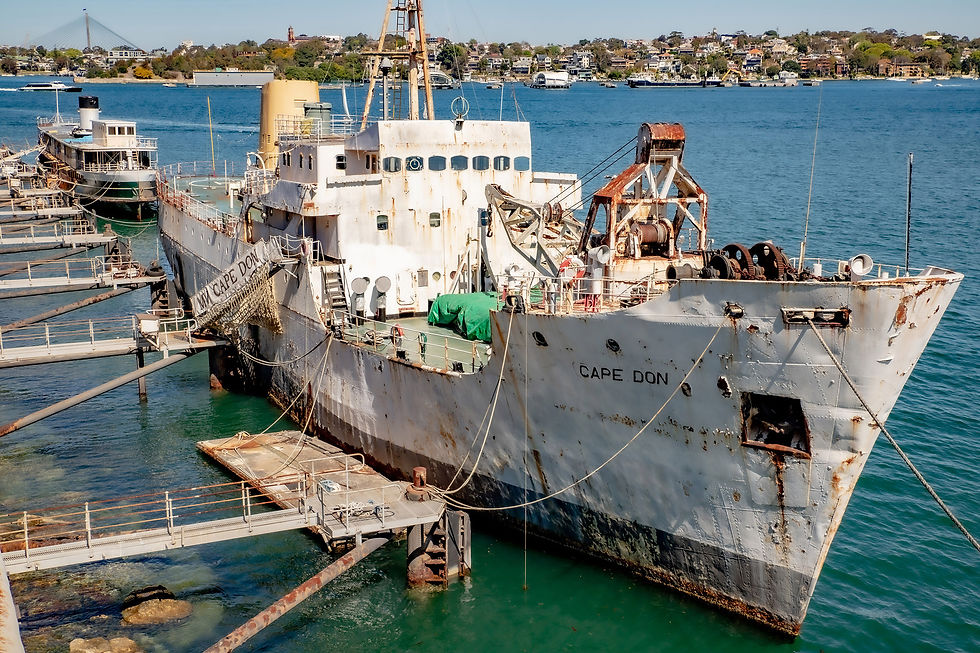 MV Cape Don training ship (the old ferry behind has since sunk and broken up). Photo: Alec Smart