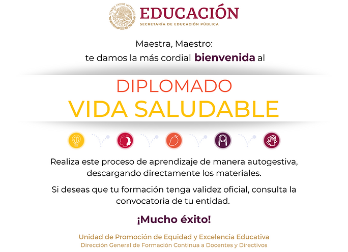 IMAGEN DIPLOMADO VIDA SALUDABLE.png