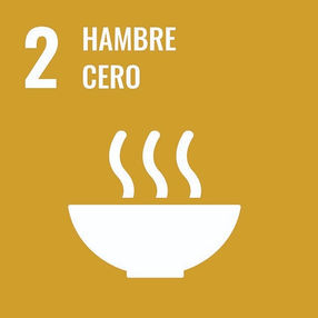 HAMBRE CERO 