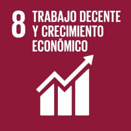 TRABAJO DECENTE Y CRECIMIENTO ECONOMICO 