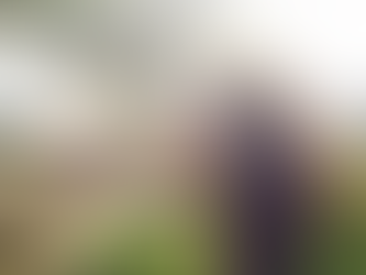 Tried Before Trial: How public certainty erased the presumption of innocence