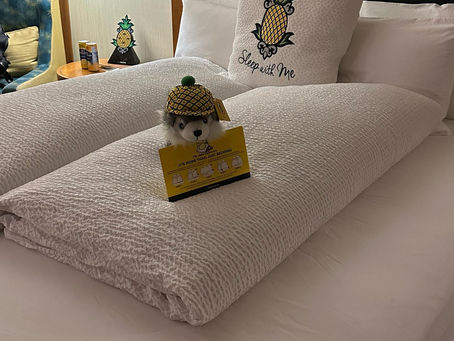 Staypineapple, at Watertown