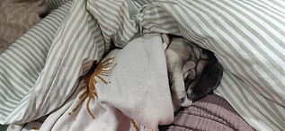 WhatsApp Image 2025-01-22 at 17.57.58 (1).jpeg