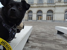 WhatsApp Image 2025-01-22 at 17.57.58.jpeg