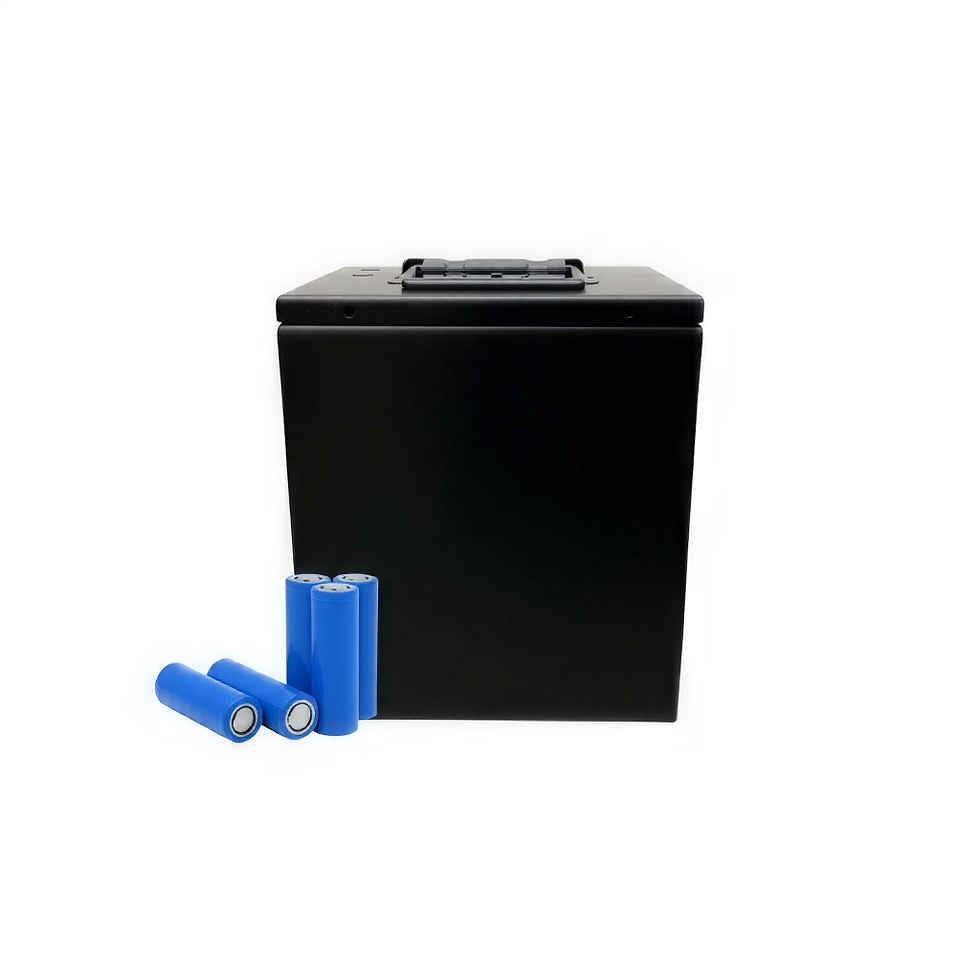 Lithium ion battery Front view