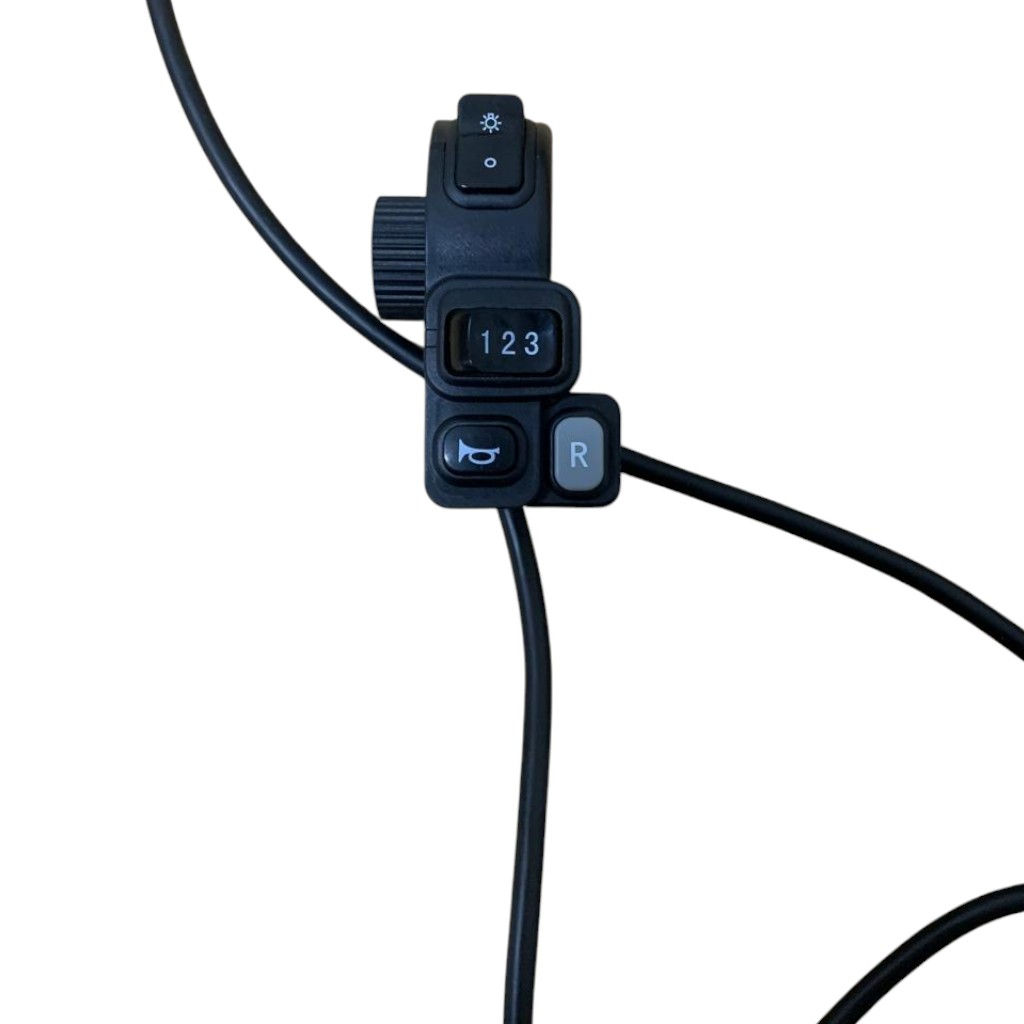 Multi-Function handlebar switch
