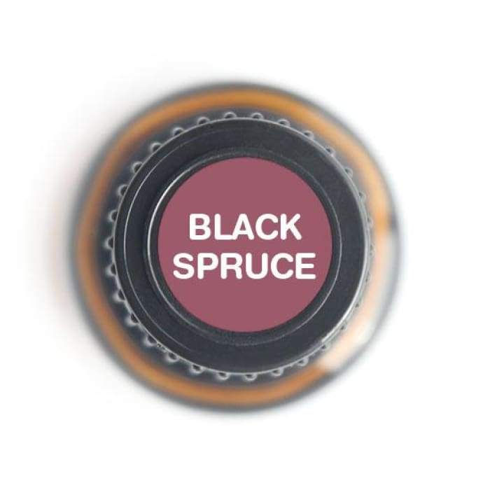 Thumbnail: Black Spruce Pure Essential Oil - 15ml