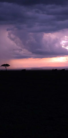 DSCF0729.JPG