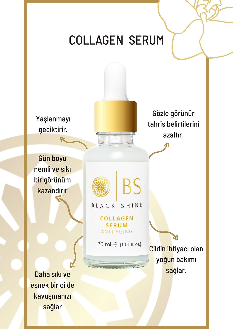 Miniaturbild: Kolanjen Serum