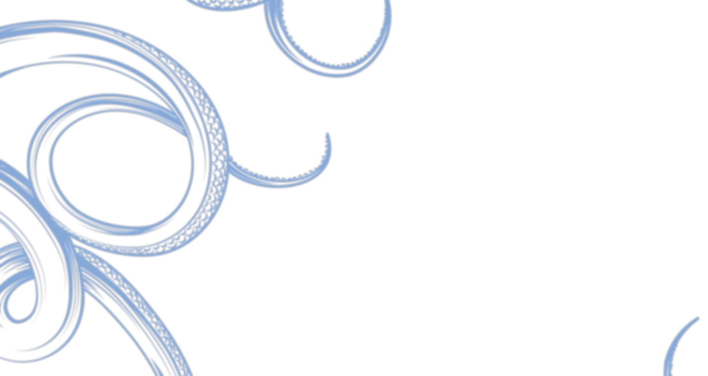 OctopusArms_TransparentBackground.png