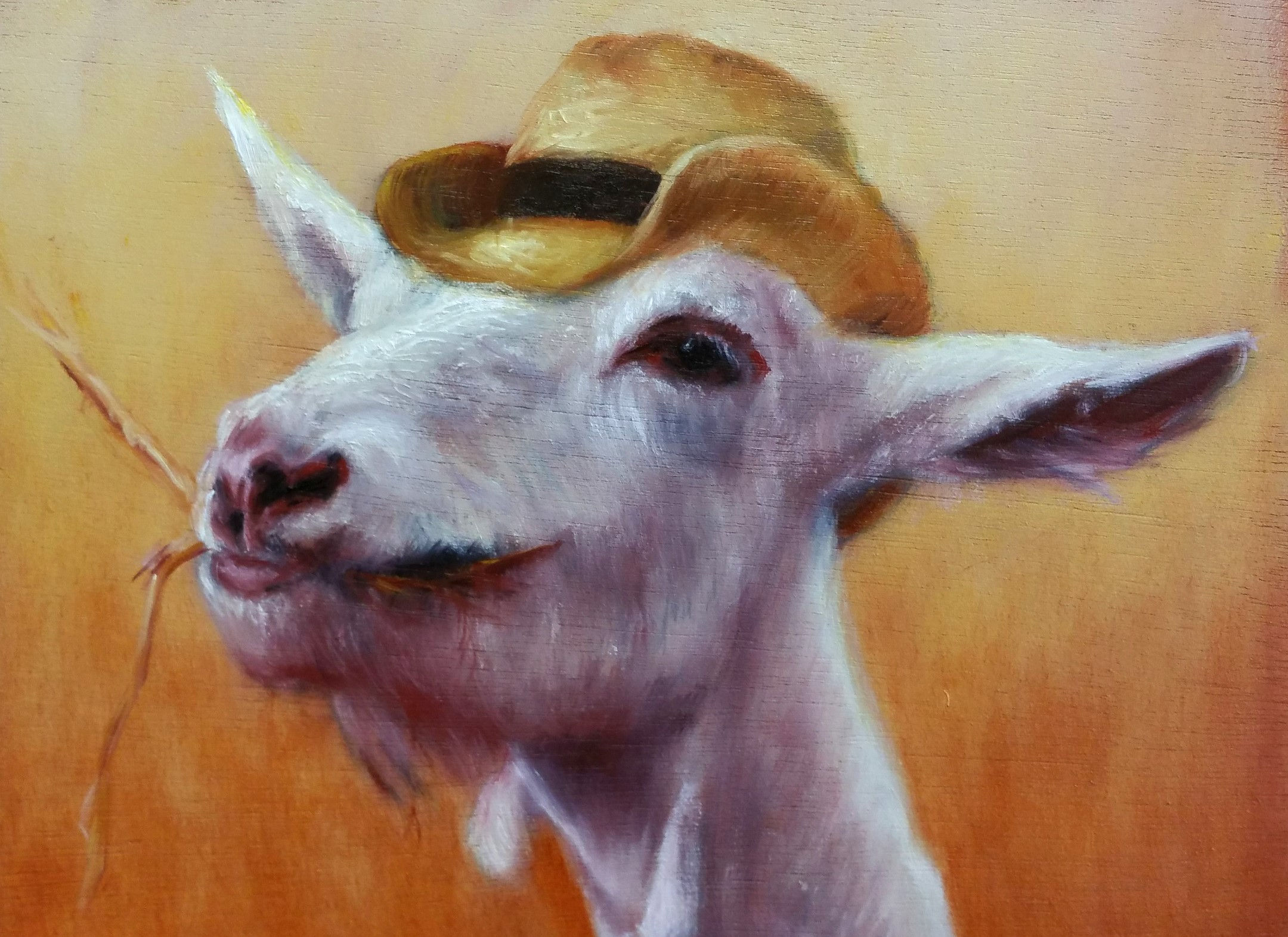 "Sir Herbert Bojangles Van Goat" greetings card