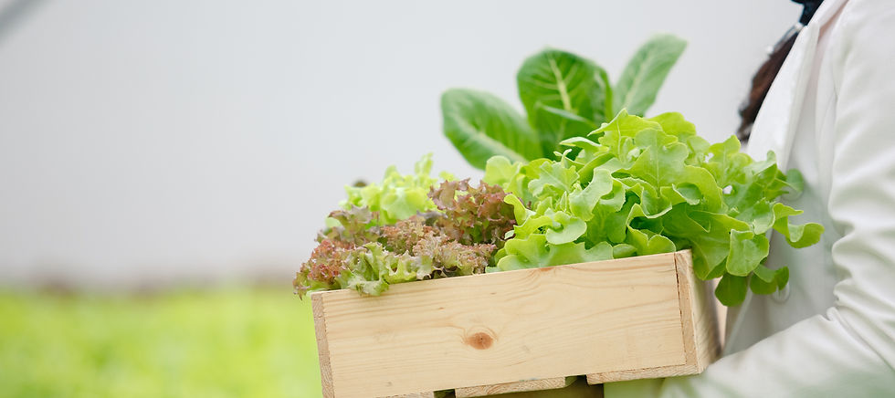 close-up-wooden-box-with-vegetables-in-the-organic-2023-11-27-04-57-10-utc.jpg