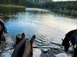 Finding Connection:Â Preparing for This Weekend's Horsemanship Clinic