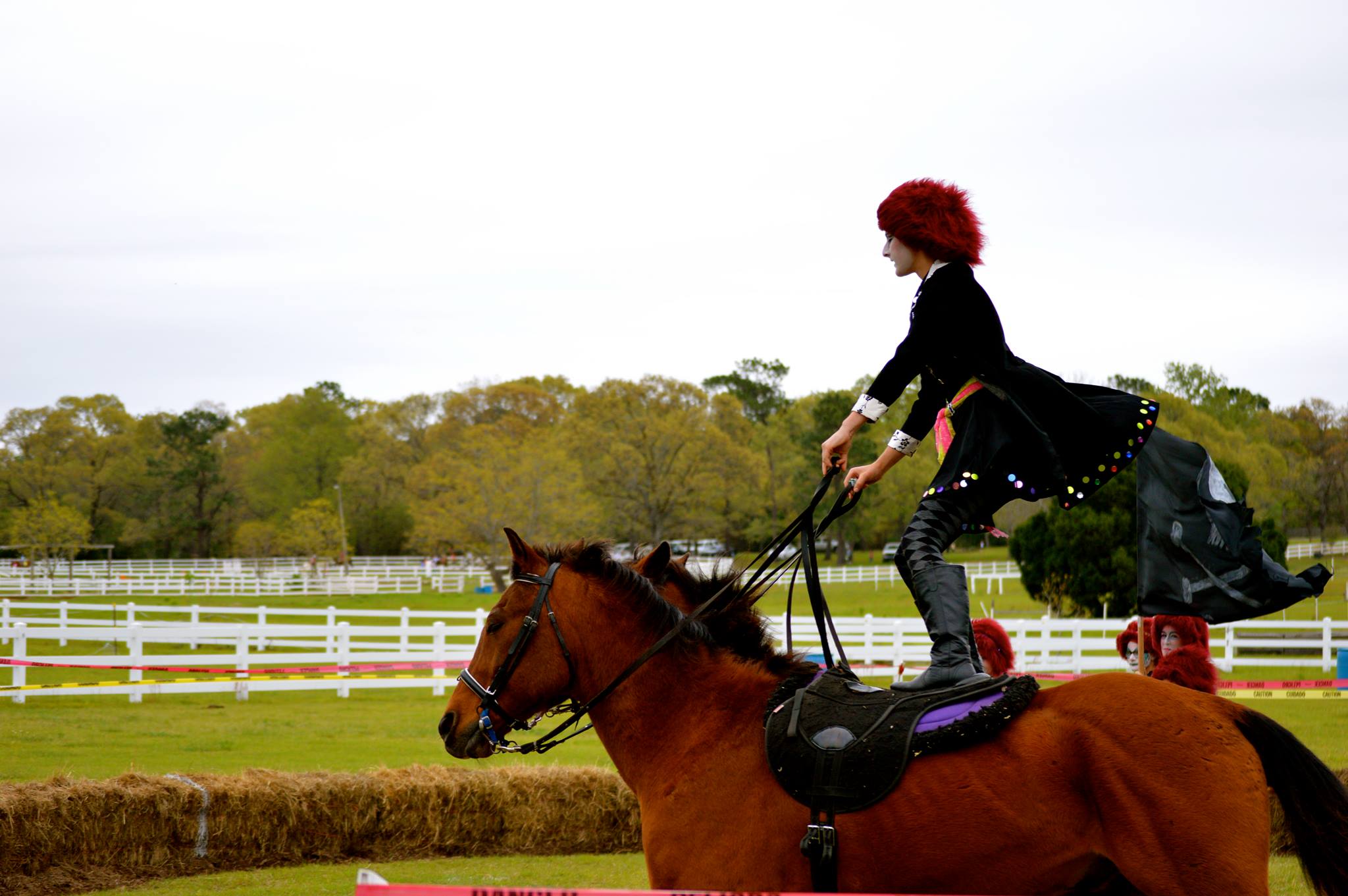 Mobile fair Greater Gulf State Fair Mobile Alabama Fairgrounds
