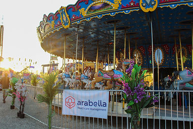 arabella ferris wheel.jpeg