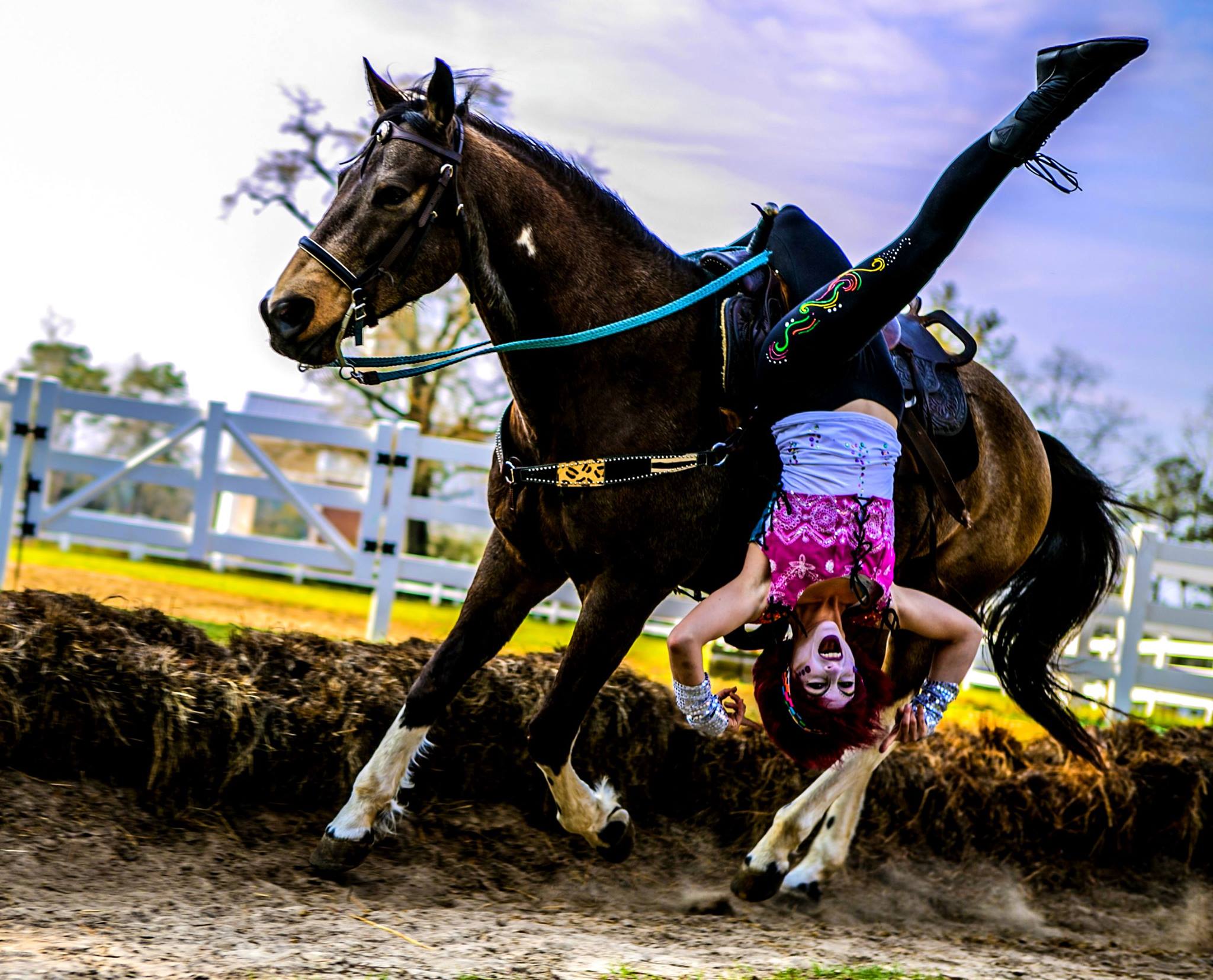 Mobile fair Greater Gulf State Fair Mobile Alabama Fairgrounds