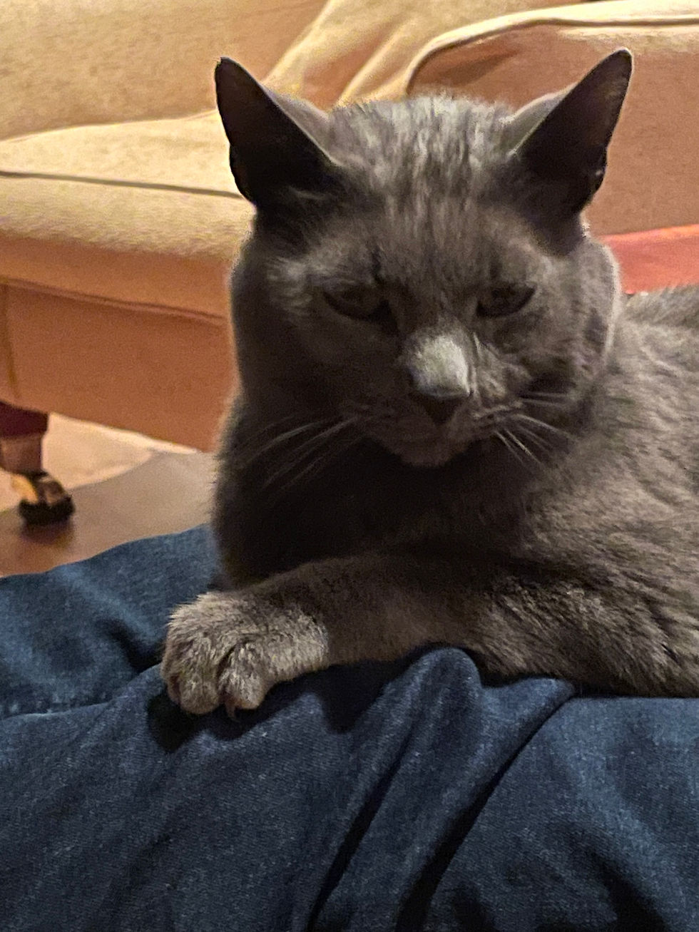 Marvin