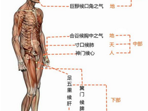 POULS DES TROIS ZONES DU "SHANG HAN LUN"