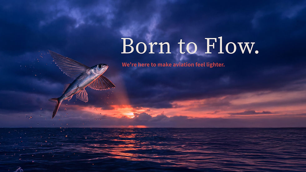AQIA_Flyingfish.jpg