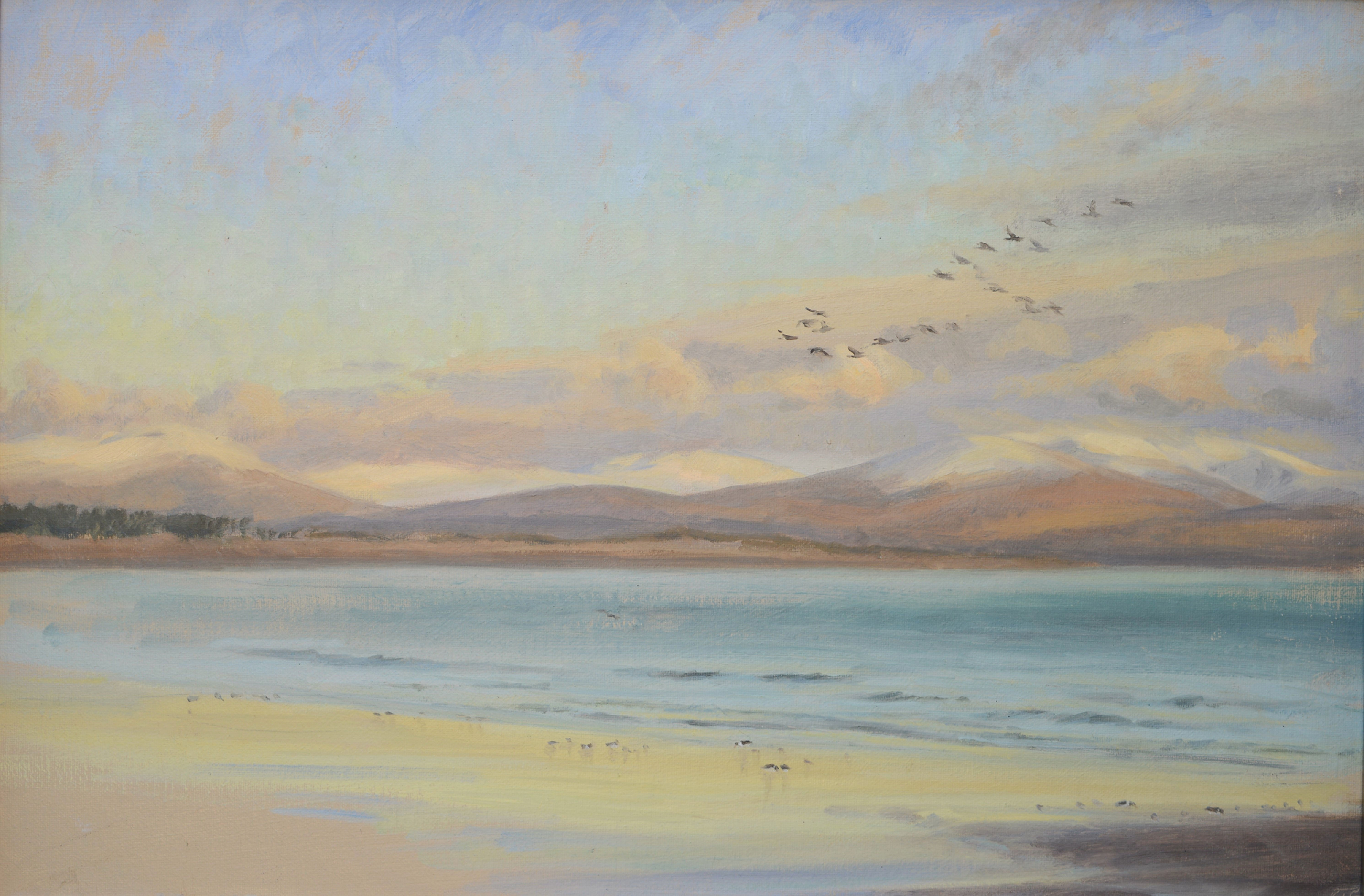 OYSTERCATCHERS IN WINTER, NEWBOROUGH