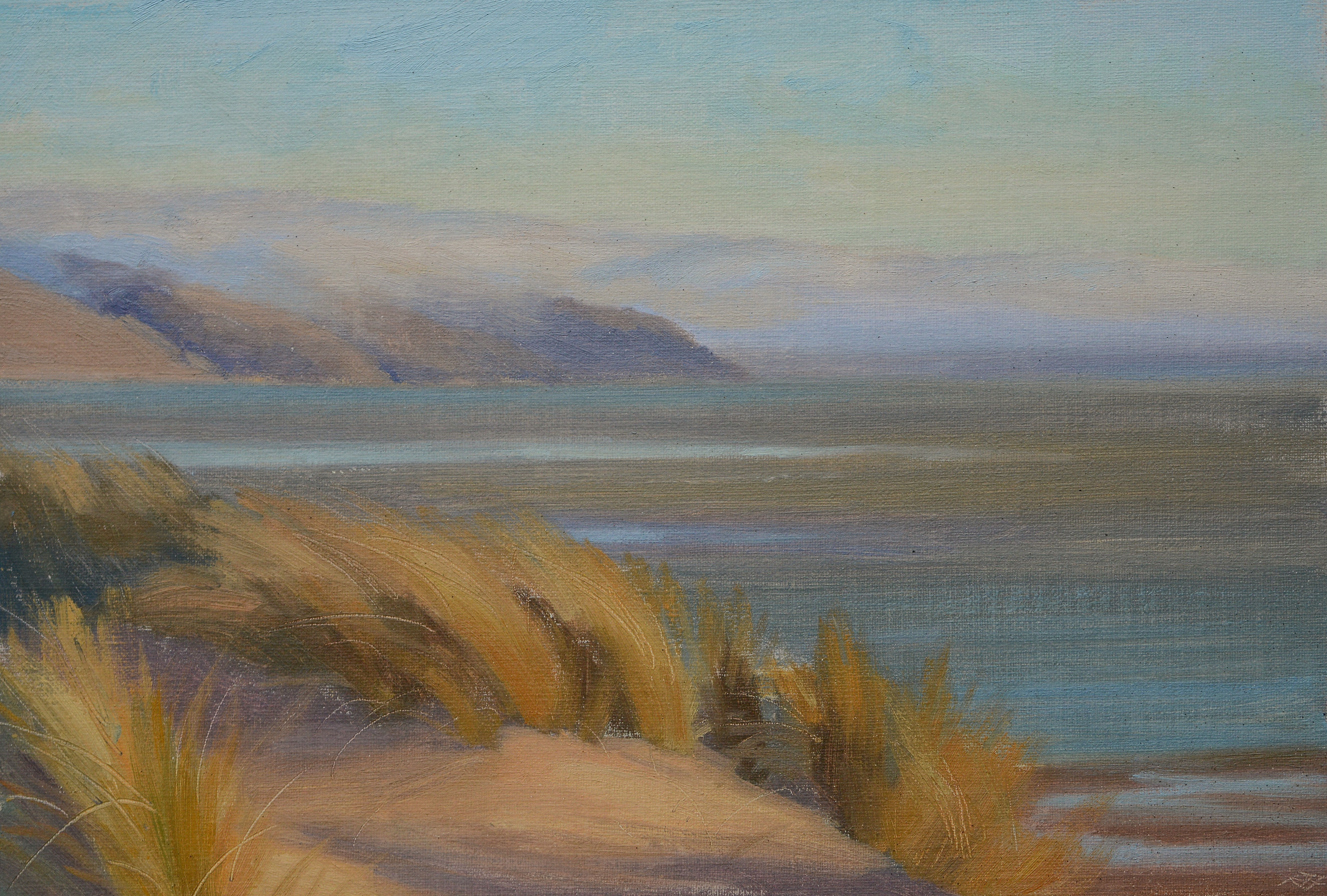  MISTY DAWN OVER THE DYFI ESTUARY