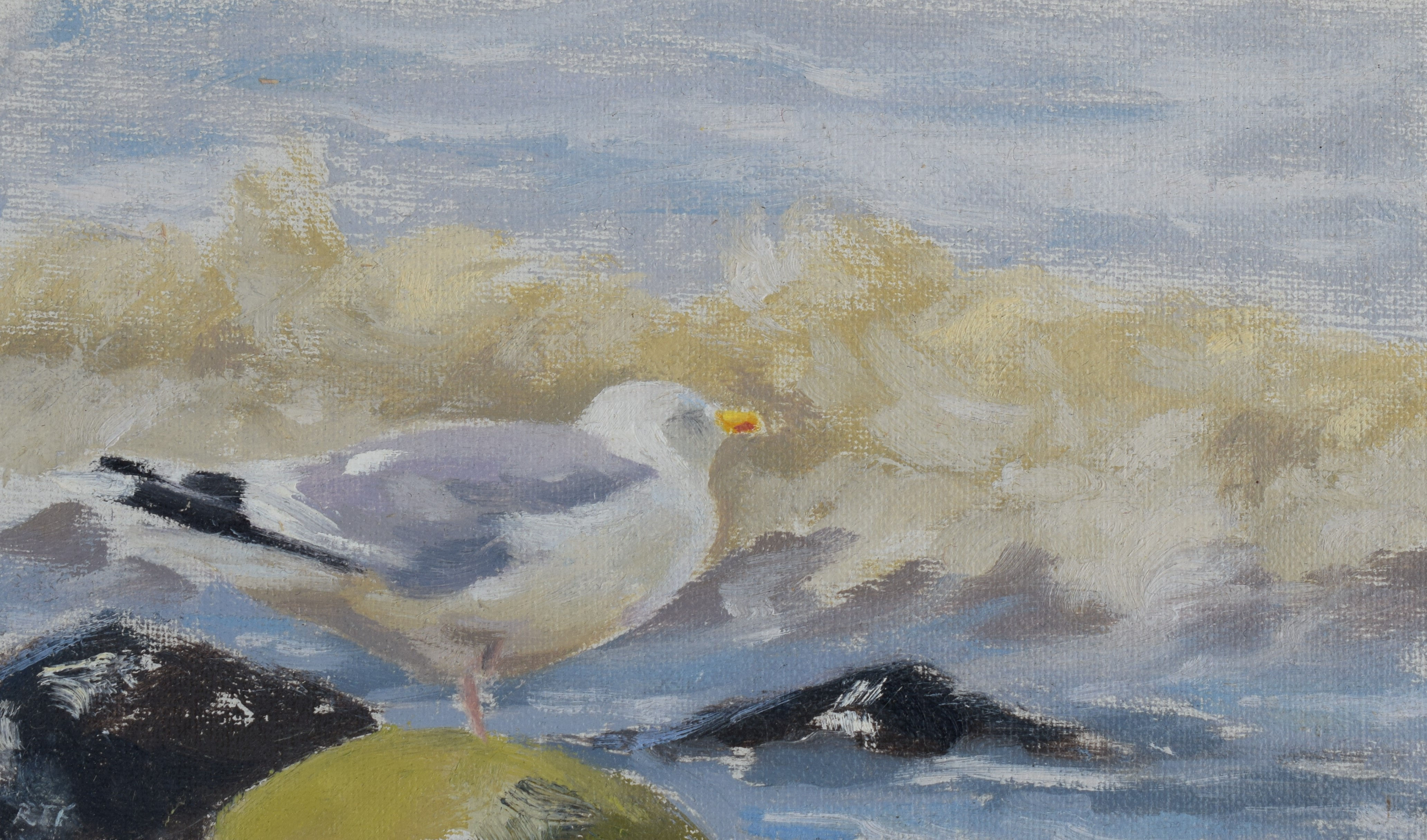 BEAK TO THE WIND
