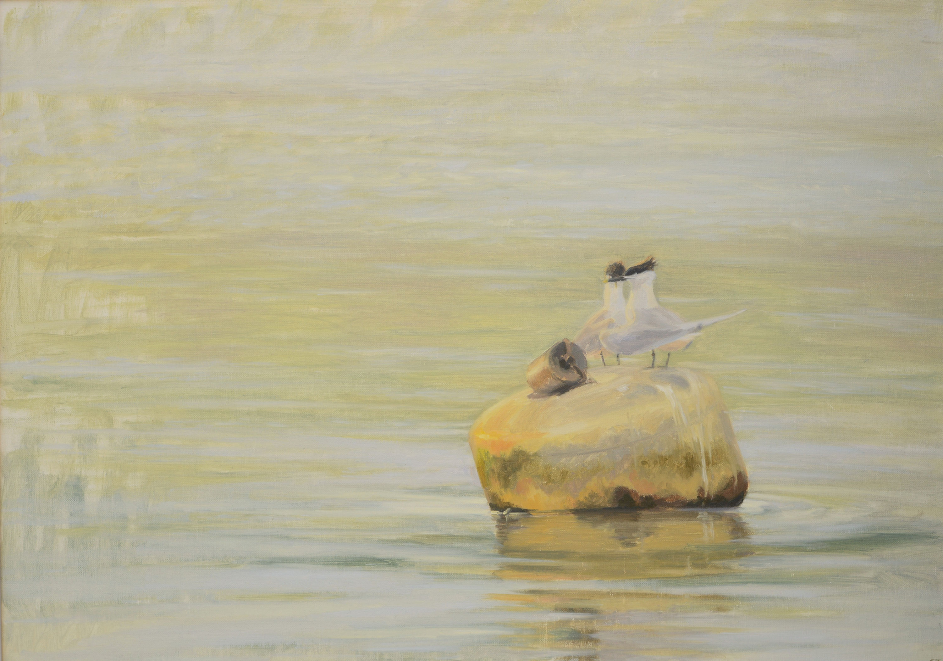 SANDWICH TERN COURTSHIP