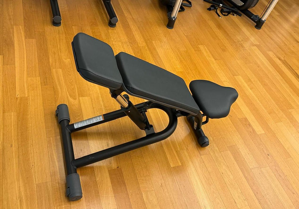 Banc inclinable TECHNOGYM 590€
