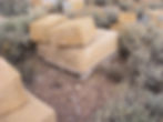 DSCF3395.JPG