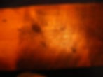 DSCF3090.JPG