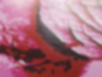 Thumbnail: Pink Rhino
