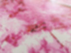 Thumbnail: Pink Rhino