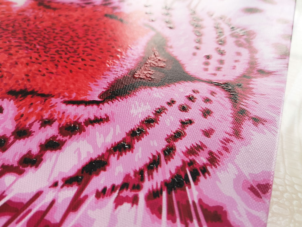 Thumbnail: Pink Leopard 1