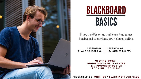 Blackboard Basics workshop Twitter version. Man Smiling at his laptop.