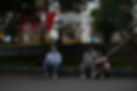 DSC00195.jpg